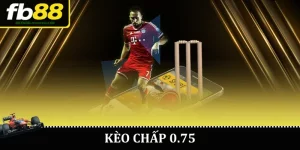 Kèo chấp 0.75